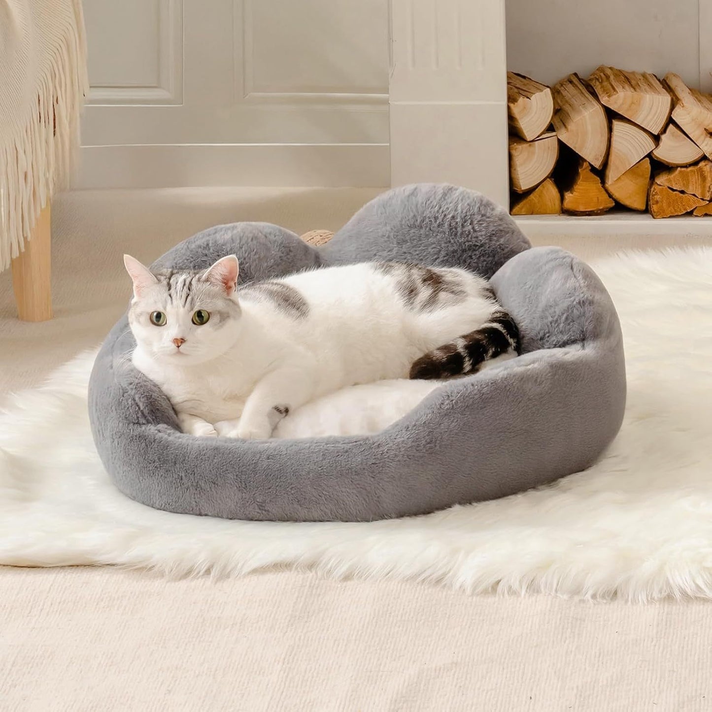 MEWOOFUN Cat Bed And Small Dog Bed