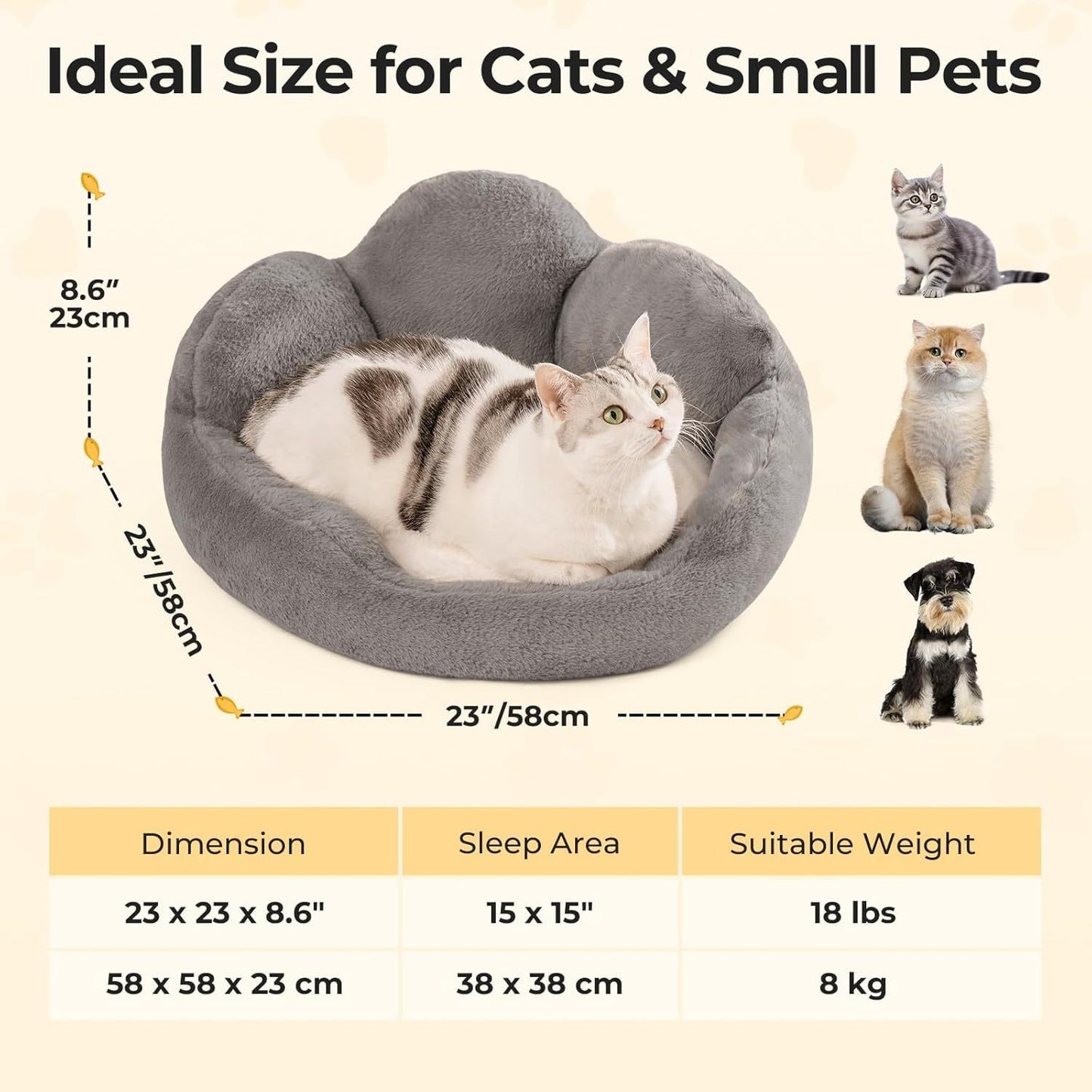MEWOOFUN Cat Bed And Small Dog Bed