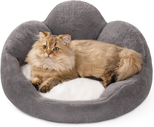 MEWOOFUN Cat Bed And Small Dog Bed